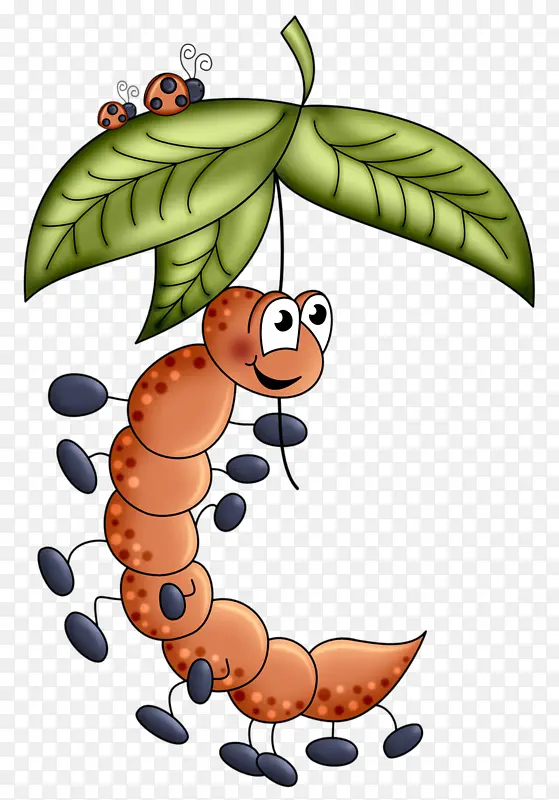 һֻ���Ӿ�����ֻư��-������