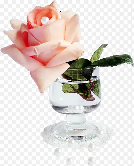 ����ܰҶ�ӱ����ز����-������