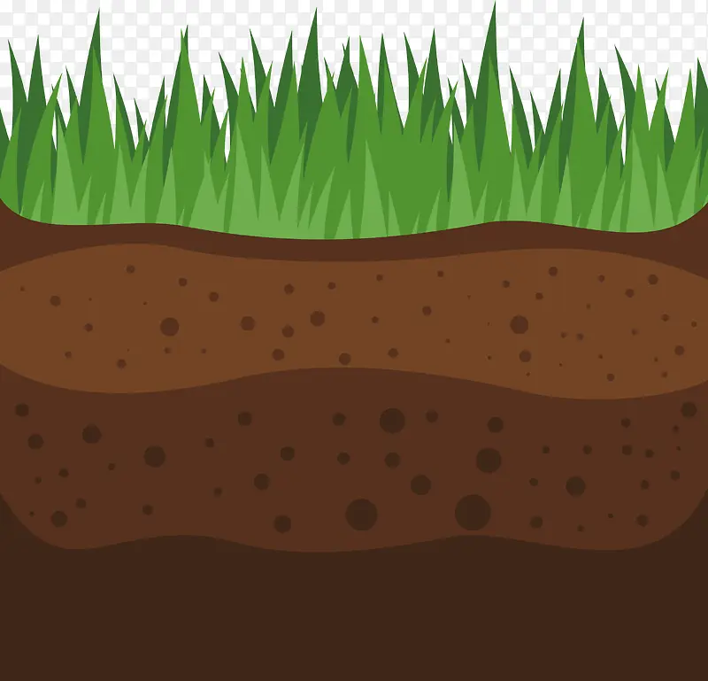 ʸ����ɫֲ��������-������