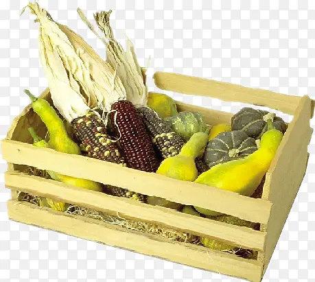 �߲˿�-������