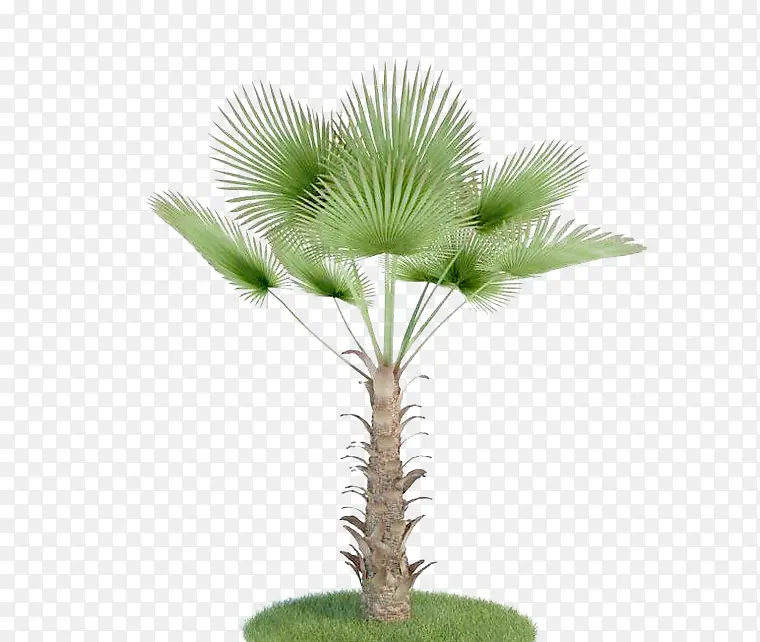 �ȴ������ز�-������