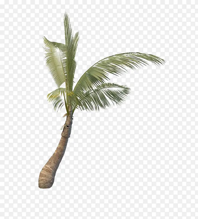 �ȴ�ֲ���ز�-������