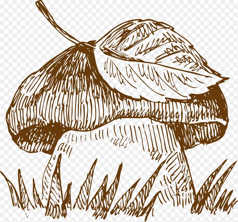 �ֻ��߲�ͼ��-������