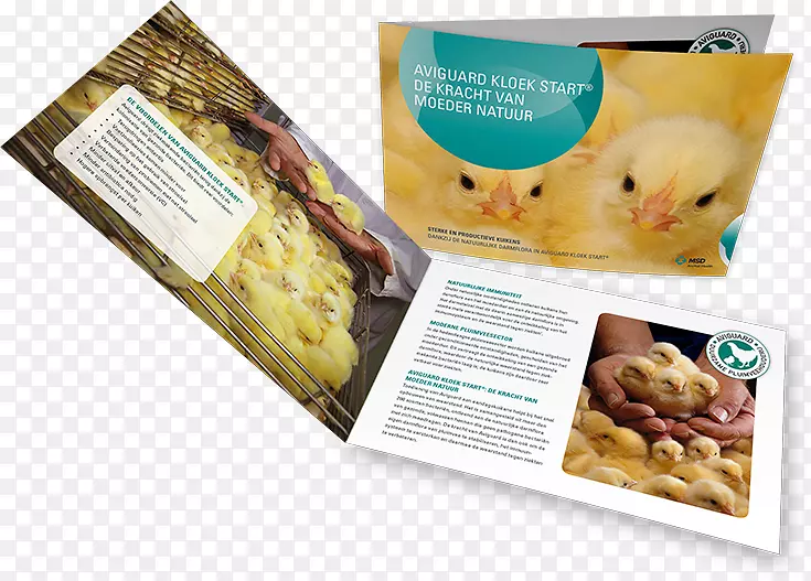 ʳ��ʳ��-С����-������