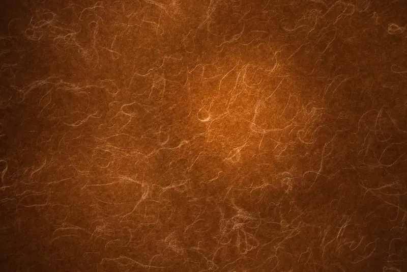 �λ���������-������