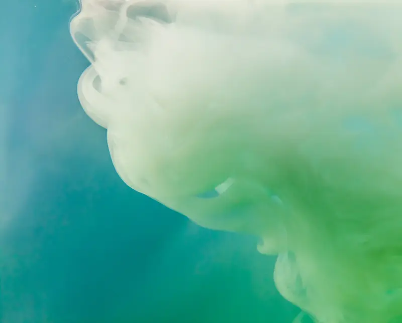 �λ�������������-������