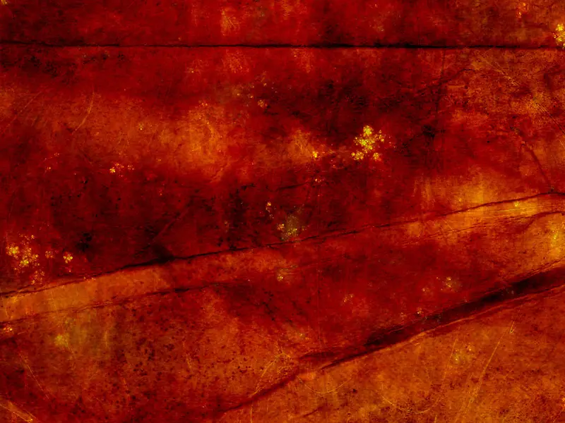 �غ�ɫֽ�ű���-������