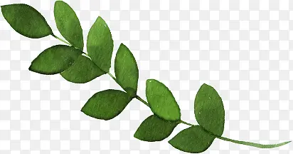 ��Ӱ������ɫС����Ԫ��-������