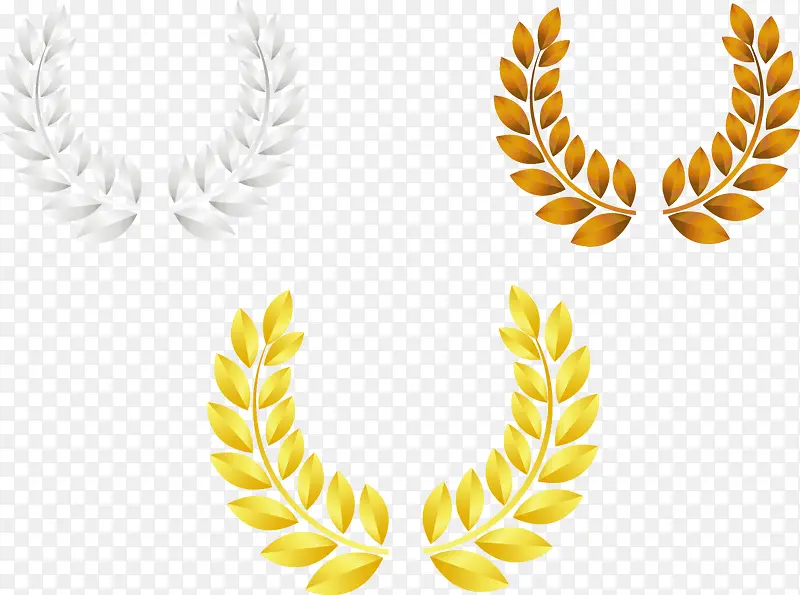 ��ɫ���֦-������