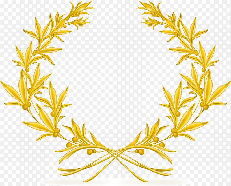 ��ɫ���֦-������