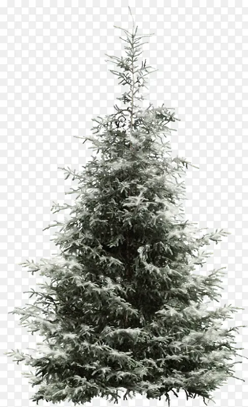 ѩ������-������