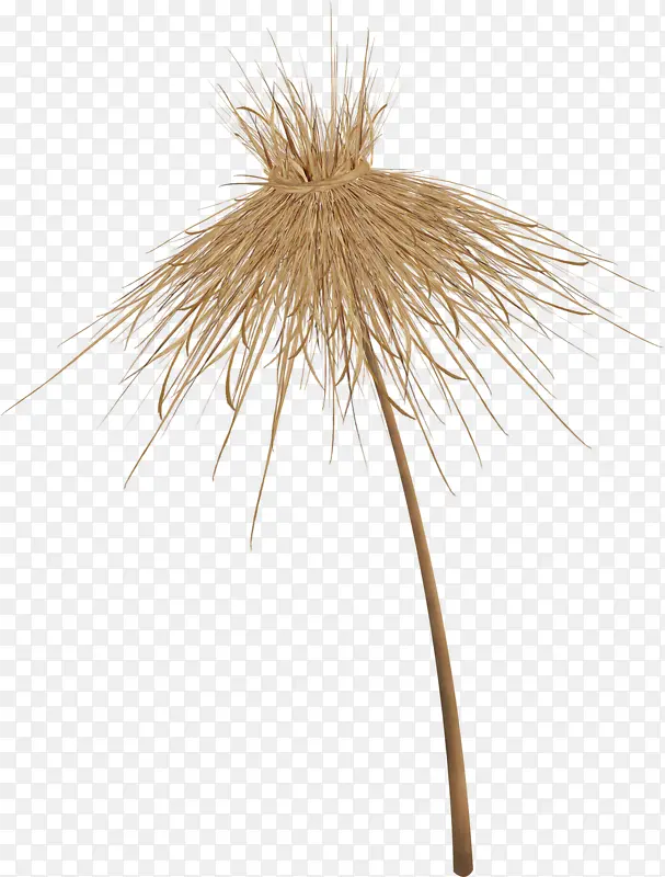 ������ɡ-������