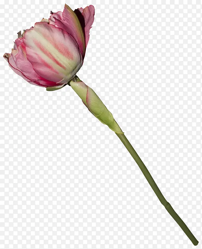 �ݻ�ͼƬ�ز�-������