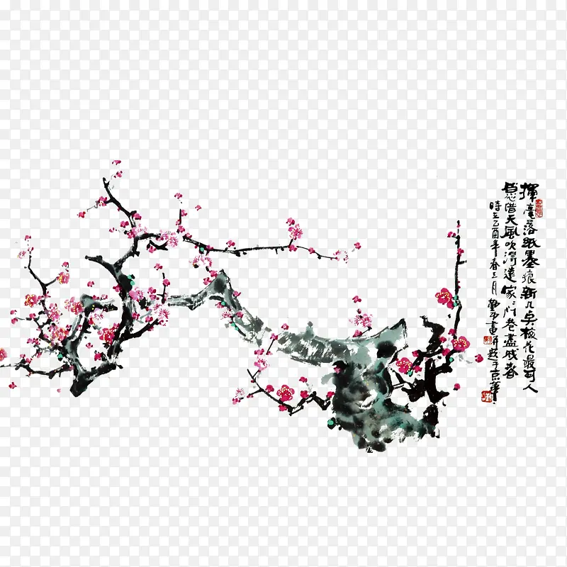 ��֦-������