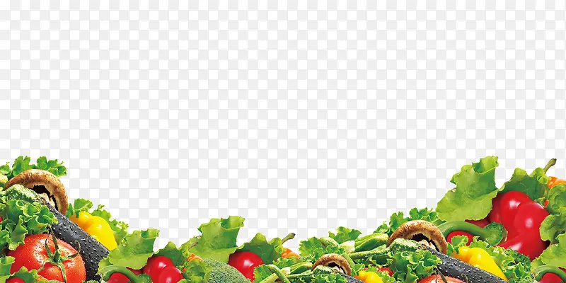 �߲˱���-������