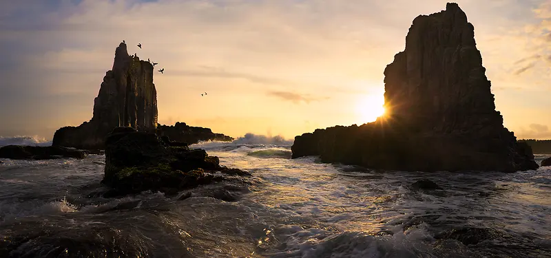 �ճ�ɽ��Ψ����Ӱ-������