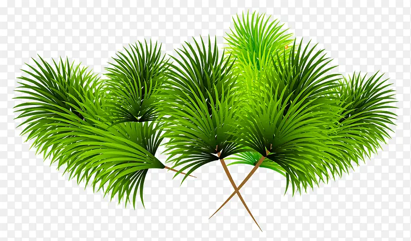 ���̵���֦-������