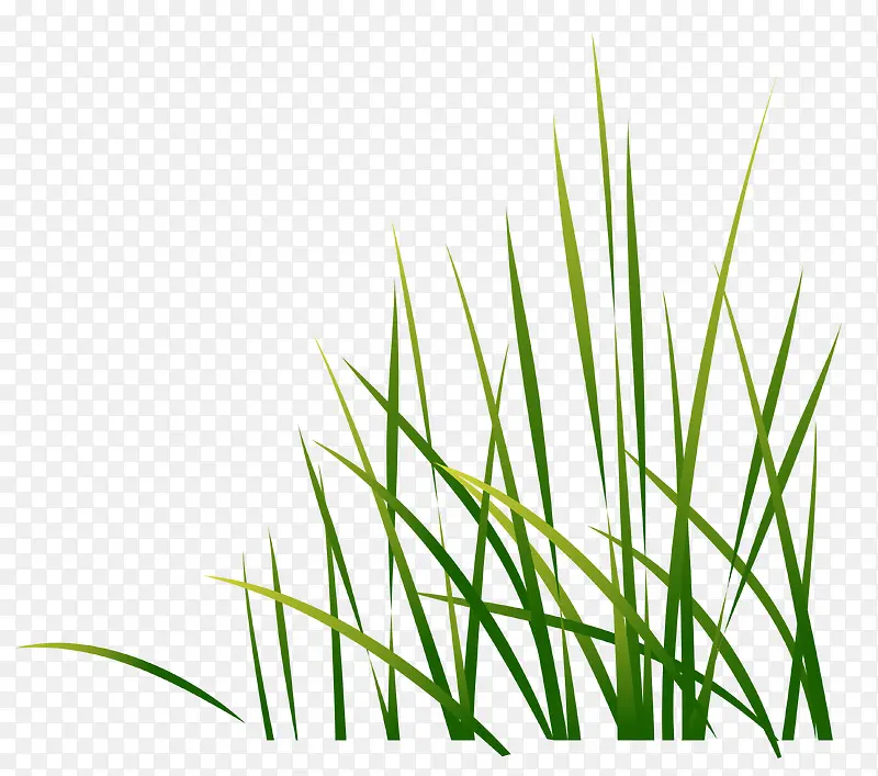 С�ݣ���ݣ�Ԫ��-������