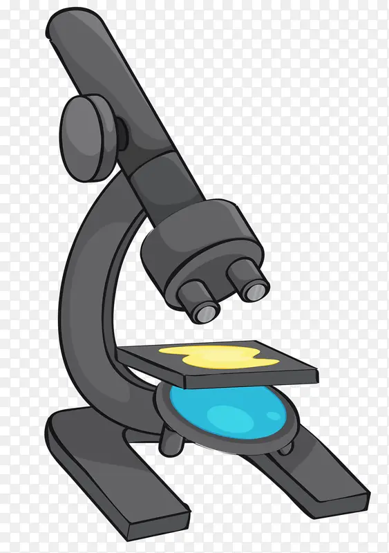 ��ѧ��΢��-������