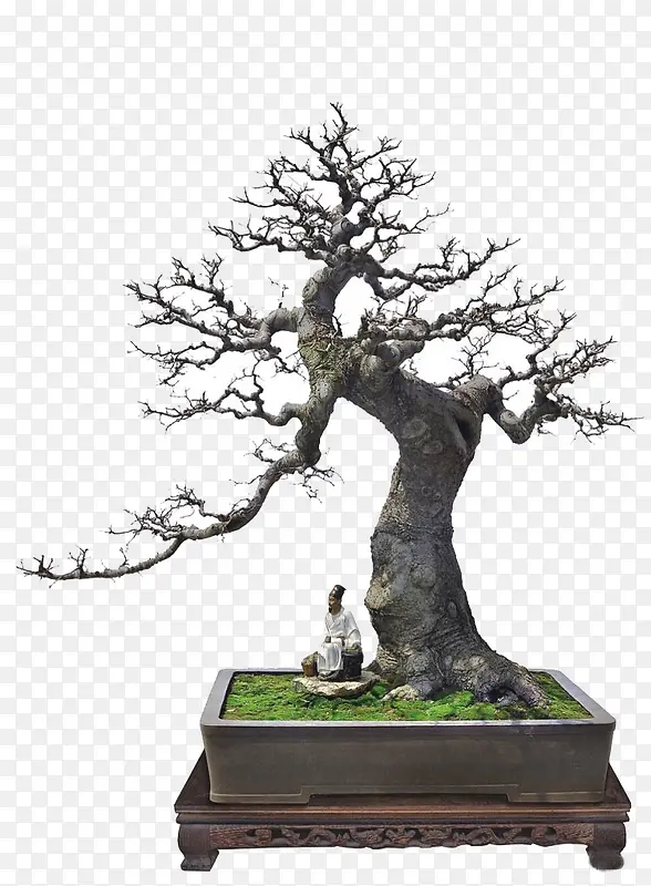 ���������辰�ز�-������