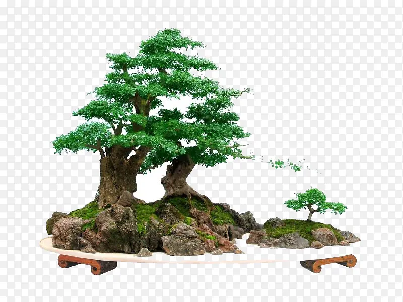 ǧ������߶��辰-������