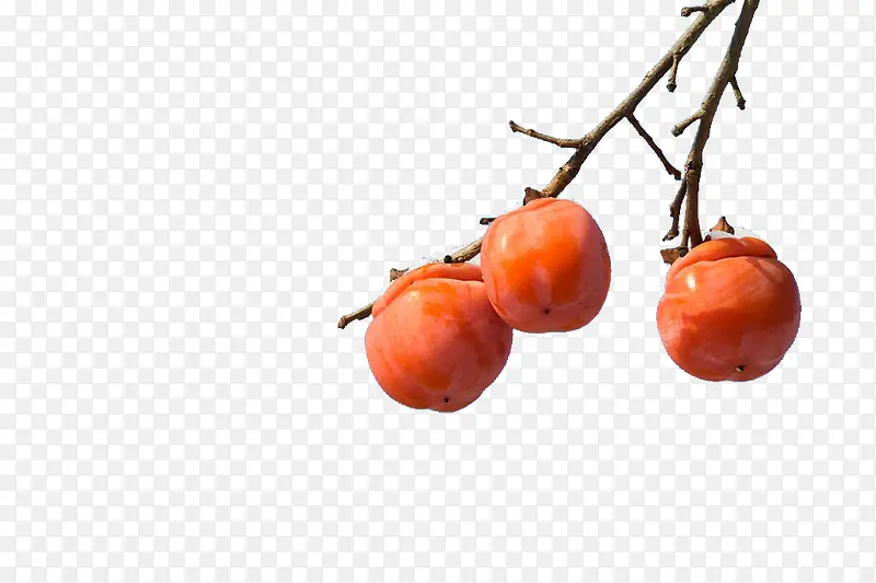 ��ɫ����-������