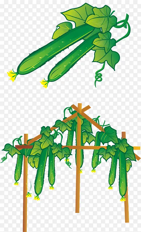 �ƹ�ʸ��ͼ-������