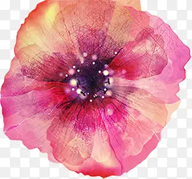 �ֻ滨�����ջ���-������