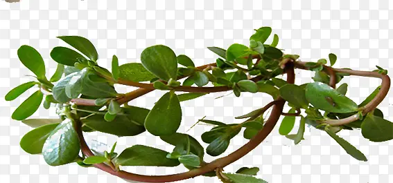 �����߲�������-������