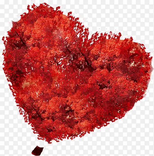 ����ë�����-������