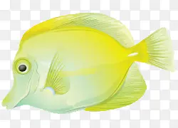 ��ͨ�ֻ���ɫ����-������