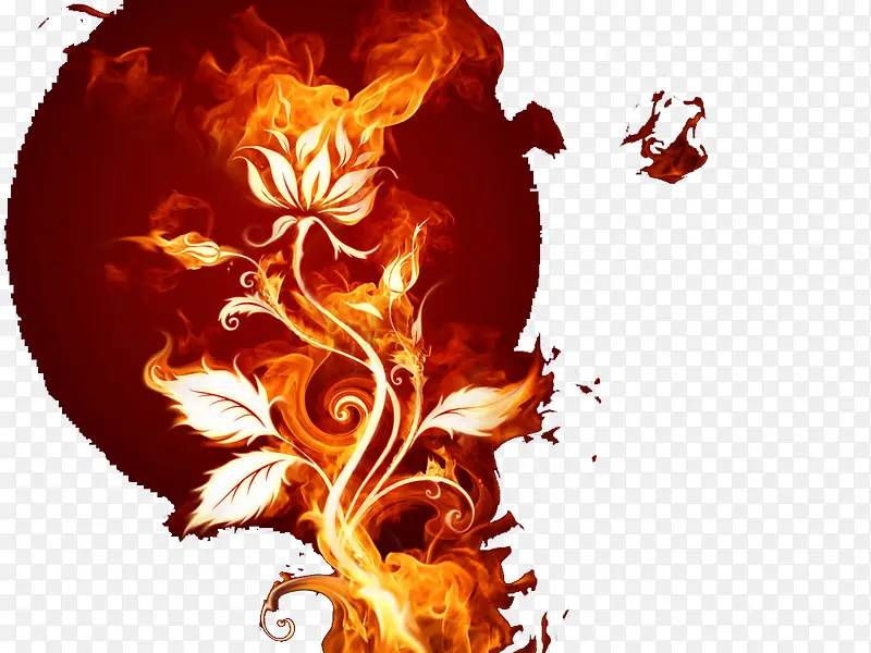 ȼ�յ�õ��-������