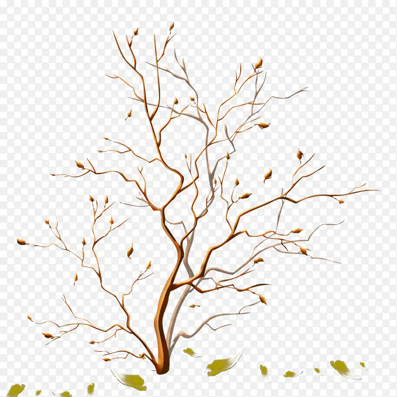 ��֦ͼ��-������