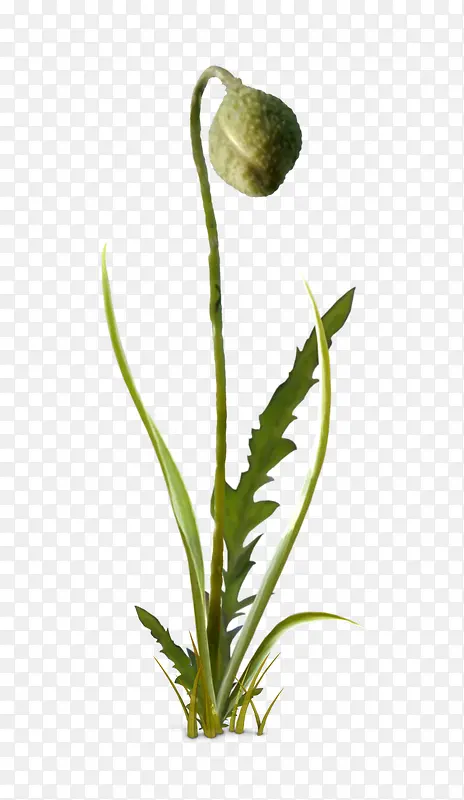 Ұ��װ���ز�-������