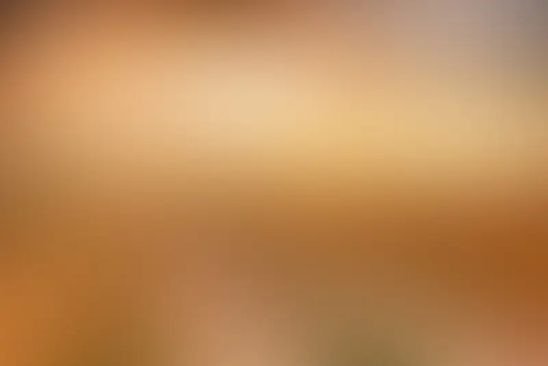 ��ɫ�����Ч����ϳ�-������