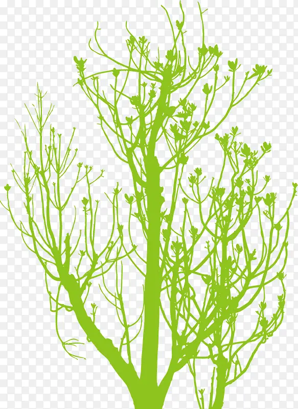 ��ѿ����-������