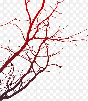 ����֦-������