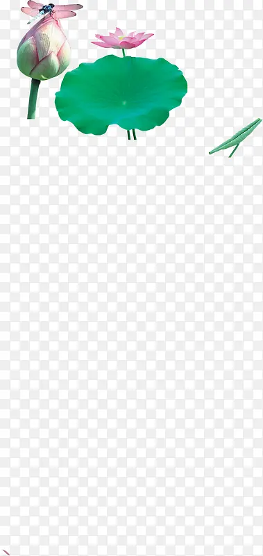 ������Ӱ�����ϵĺɻ�����-������