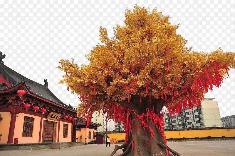 �������װ���������������-������