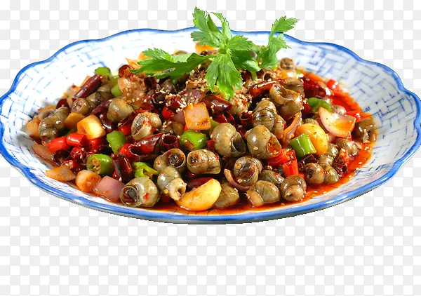 ����ʳ��������-������