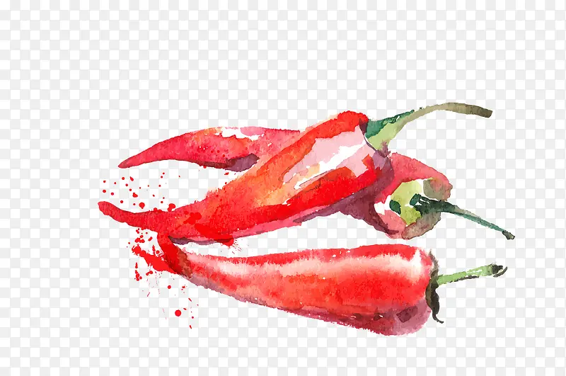 ʸ���ֻ��߲������⽷-������