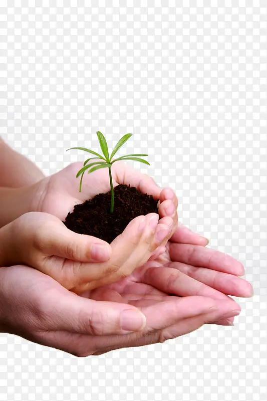 �������ĵ���ֲ-������