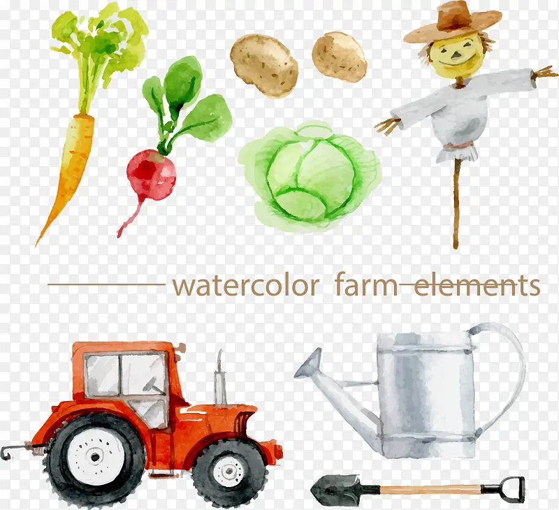 ʸ����̬�л�ʳƷ-������