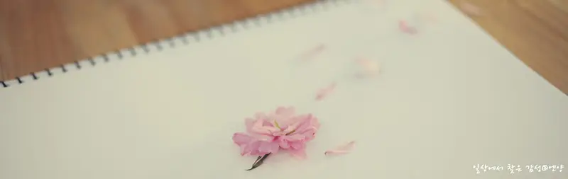 ��Լ���º�������-������