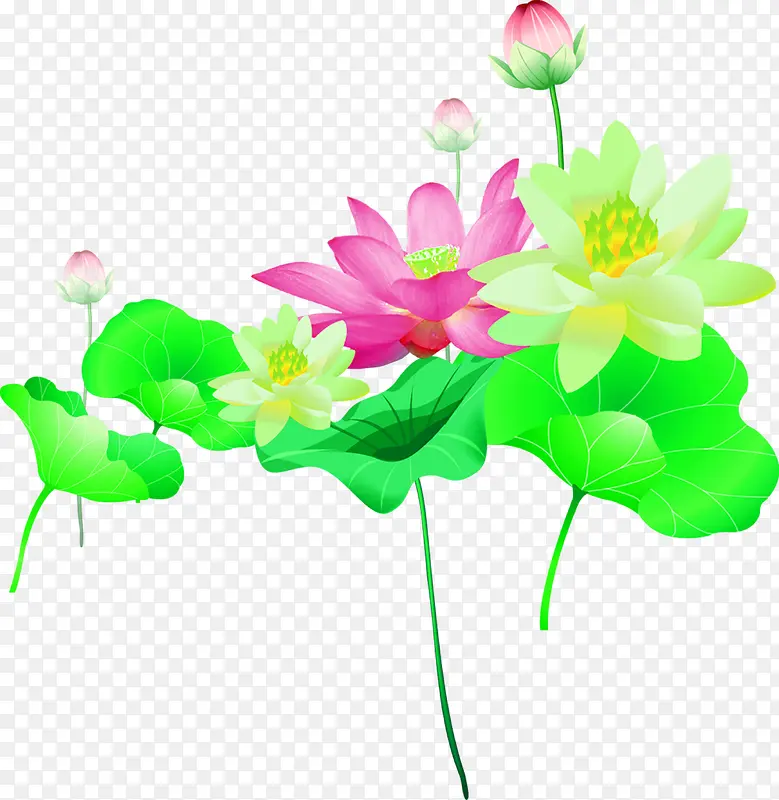 ��Ӱ�����ֻ���ɫ��Ҷ����-������