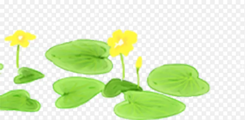 ������Ӱ�ֻ�������ɫ��Ҷ-������