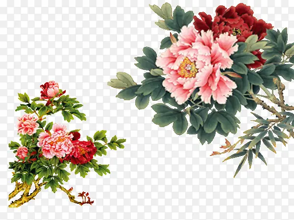 ˮ��ĵ������ɫҶ��-������