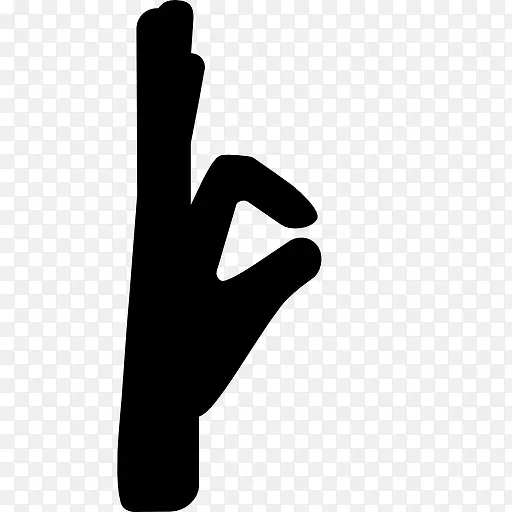 ��ָ����ͼ��-������