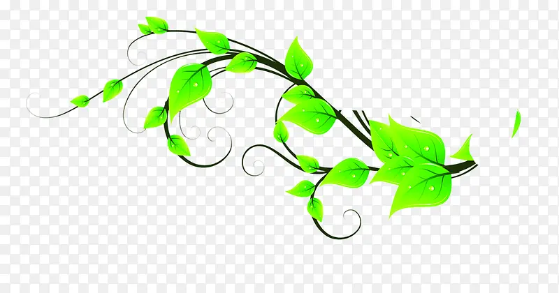 ������Ҷ�ϵ�ˮ��-������