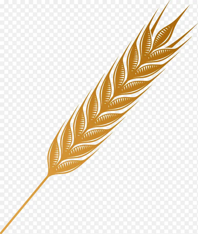 ����ʸ���ز�����-������